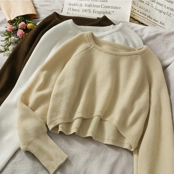 Remi Neutral Cropped Pullover